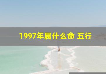 1997年属什么命 五行